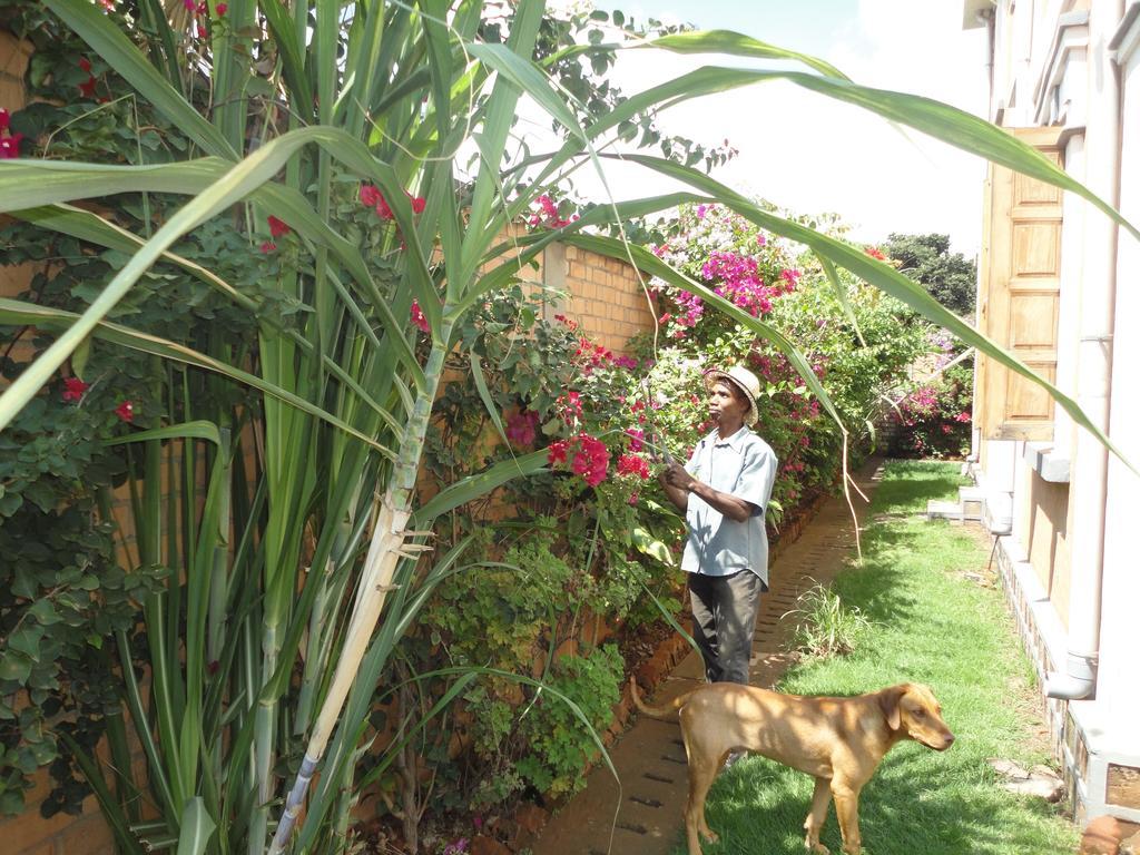 Meva Guesthouse Antananarivo Luaran gambar